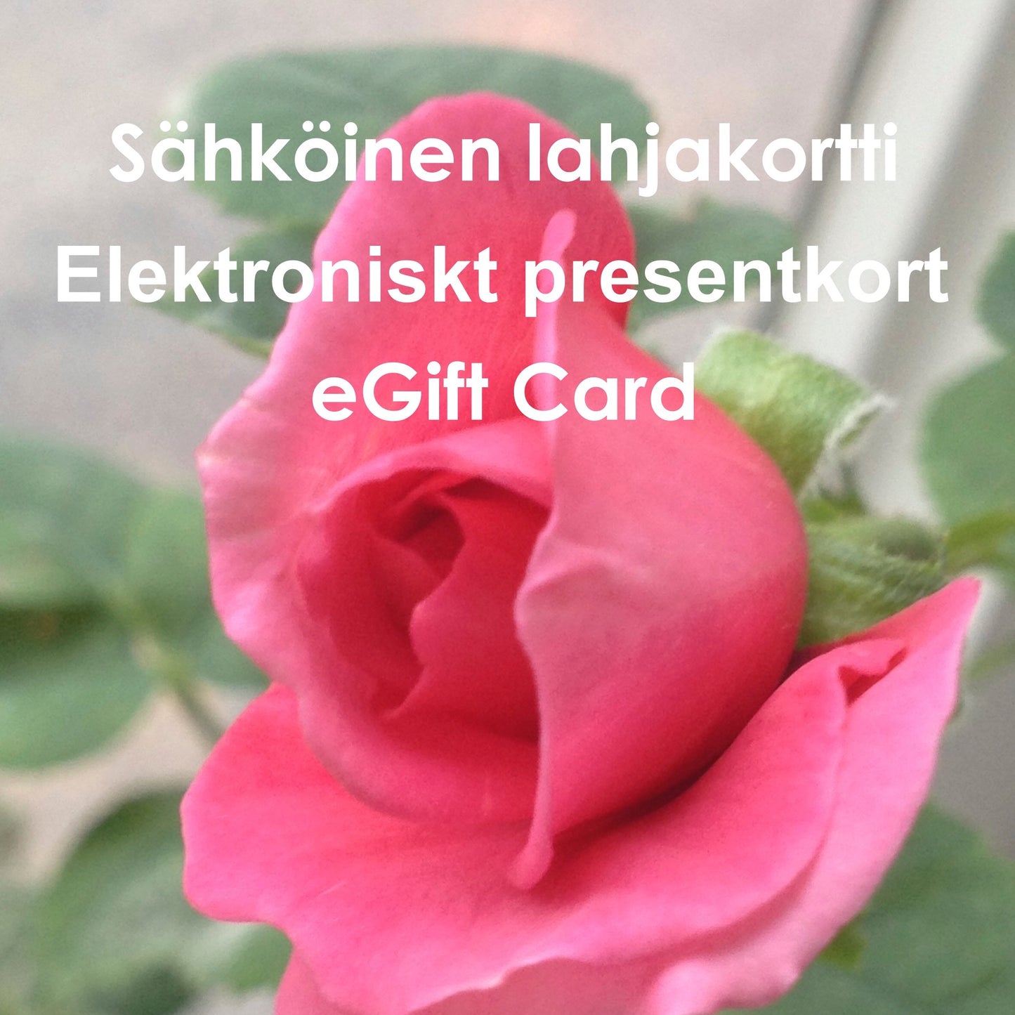 Electronic gift card
